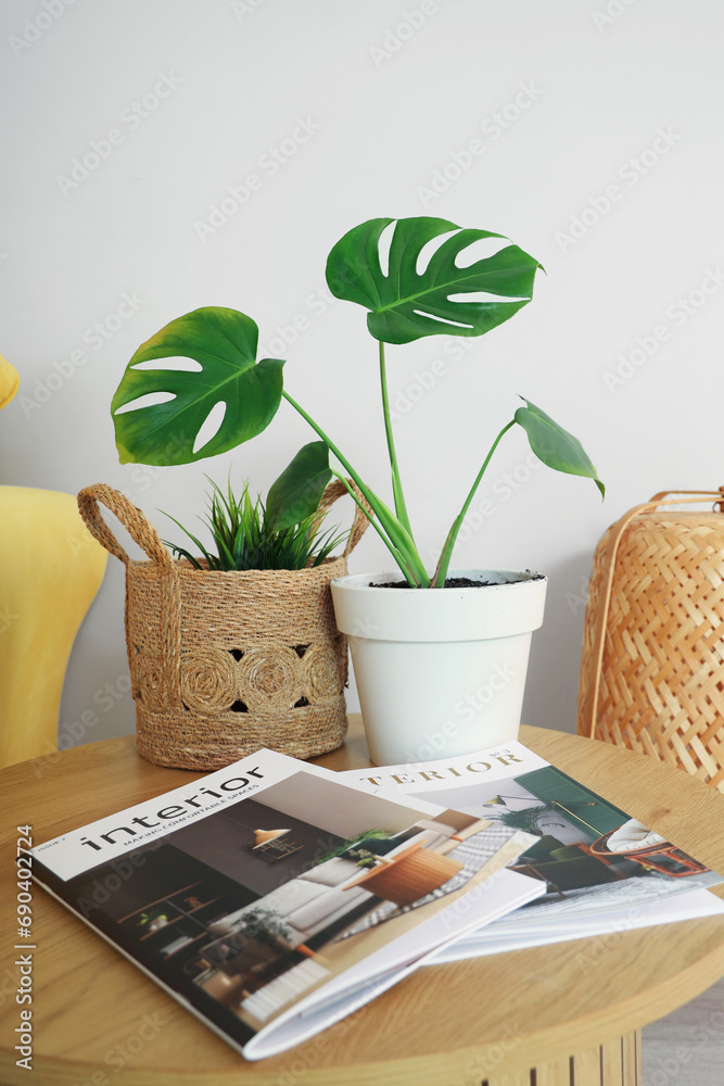Green plants with magazines on table in room