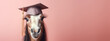 A horse in soft focus dons a graduation cap, hinting at the nobility and grace of lifelong learning.
