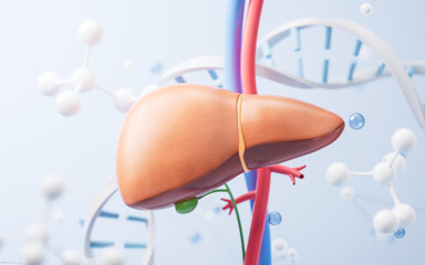 Wall Mural - Liver and biological concept background, 3d rendering.