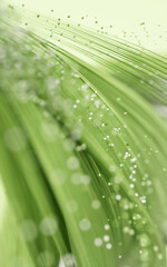 Poster - Flowing curves lines background, 3d rendering.