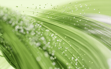 Poster - Flowing curves lines background, 3d rendering.