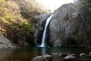 Canvas Print - spring scene of a waterfall