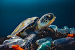 Eine Meeresschildkröte schwimmt über einen Meeresboden, der mit Plastikflaschen übersät ist. Umweltverschmutzung durch Plastikmüll in den Ozeanen