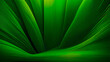 © Ruvini - abstract organic nature vibrant green lines wallpaper background,16:9 frame banner , natural green palm leaf background