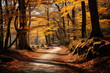 Autumnal Colors Along a Forest Path