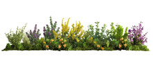 Beautiful Greenery And Shrubbery, With Small Colorful Flowers Isolated On Transparent Background