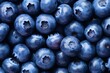 Close-up view of fresh blueberries with natural bloom. Healthy eating and nutrition concept. Macro food photography. Design for packaging, banner, or backdrop