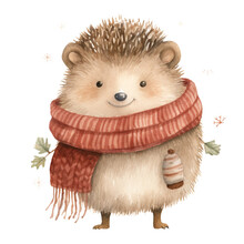 Cute Chubby Hedgehog Watercolor