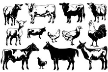 Set Farm Animals. Vector Sketches Hand Drawn Illustration Background. Advertising And Design Of Flyers, Booklets. Linear Art Style.