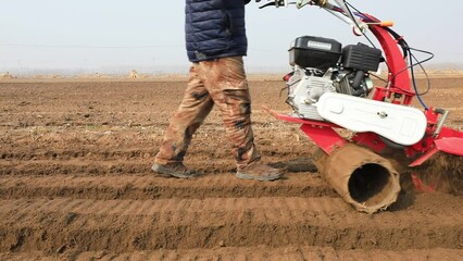 Wall Mural - farmers operate ditching machines to dig ditches to plant ginger on a farm in North China