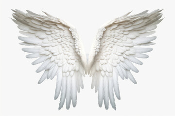 White beautiful angel wings, png.Generative AI.