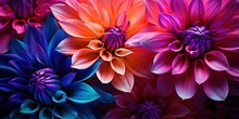 Macro Close-up Photography Of Vibrant Color Flower As A Creative Abstract Background