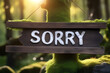sign saying sorry, generated by artificial intelligence