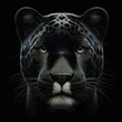 Portrait of black panther cat, dark jaguar, isolated on black background, animals and wildlife