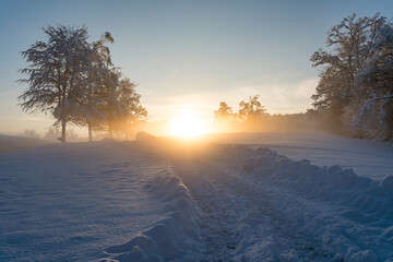 Canvas Print - Snowy and beautiful winter landscape in Wolfegg in Upper Swabia