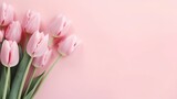 Fototapeta Tulipany - Bouquet of pink and white tulips on a pink background. Flat lay, copy space