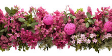 Pink Flowers Bush Shrub Green Tree Isolated Tropical Plant Border With Clipping Path Isolated On Transparent Background. Generative AI