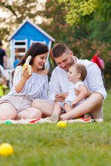 Wall Mural - Parents having picnic in the park with their toddler son