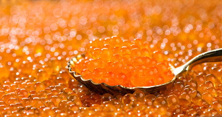 Wall Mural - Red Caviar in a spoon. Caviar background. Fish roe, Close-up salmon or trout caviar. Delicatessen. Gourmet food. Texture of caviar. Seafood 