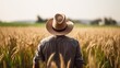 © Krtola  - View from behind of a farmer in a wheat field