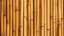 Bamboo Sticks Wall Texture Background