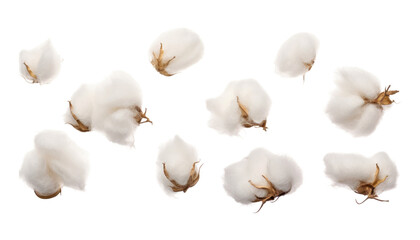 Wall Mural - cotton buds isolated on transparent background cutout