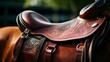 The Classic Image of a Saddle Secured on a Brown Horse's Back