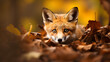 A curious fox peeking out from behind autumn leaves in a forest.