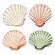 Sea shells set of 4 flat vector illustration. Sea shells set of 4 hand drawing isolated vector illustration