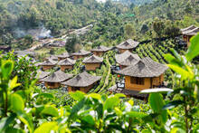Viewpoint Resort Earth House In Tea Plantation At Lee Wine Ban Rak Thai