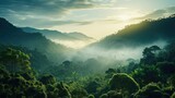 Fototapeta  - Tropical rainforest. Green and misty.