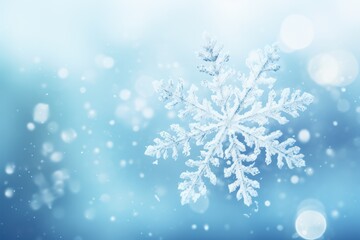 Poster - Celebrate Christmas and New Year background