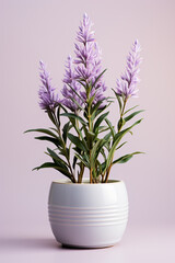 Poster - a subtle lavender bloom in a small pot, capturing the essence of minimalistic tranquility.