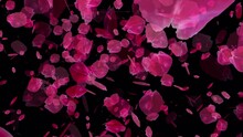4K Cherry Blossom Falling With Alpha Channel For Overlays, Graduation Of Nature's Evolution, A Shower Of Cherry Blossoms Embraces Tranquility And Harmony, A Cosmic Bg For Scenes, Titles, And Logos.