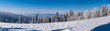 Panorama na Babią Górę ze szlaku na Turbacz - Gorce, zima