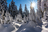 Fototapeta  - Zima w lesie - zaspy