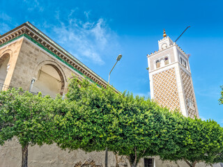 Poster - View of the Kasbah Mosque, Tunis, Tunisia