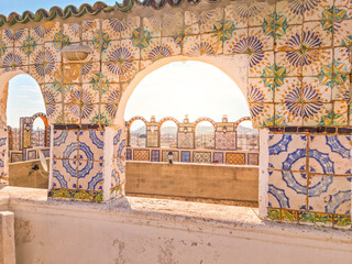 Wall Mural - Traditional rooftop in Tunis, Tunisia