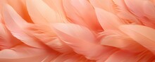 Peach Fuzz Colored Feathers Background, Trendy Color Of The Year 2024