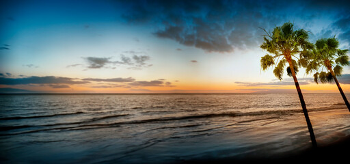 Wall Mural - sunrise and ocean and palms