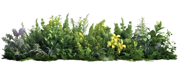 Wall Mural - shrubs plants flowers isolated on transparent background