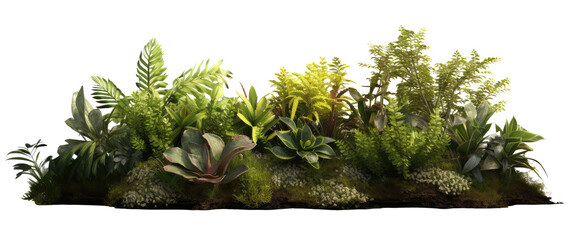 Wall Mural - shrubbery plants on the ground isolated on transparent background