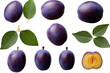 Collection of whole and cut blue plum fruits and leaves cutout