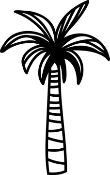 Date palm -Phoenix dactylifera, line-art vector illustration, Arabian design element. Islam decoration. Muslim festival. 