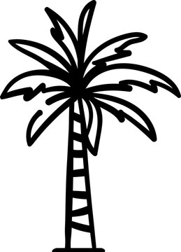 Date palm -Phoenix dactylifera, line-art vector illustration, Arabian design element. Islam decoration. Muslim festival. 
