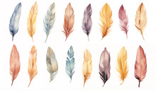 Cute Boho Collection, Featuring A Set Of Bird Feathers On A White Background.