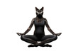© I Love Png - _A_female_cat_wearing_a_Gymnastics_outfit_sharp