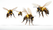 Honey bees isolated on white background