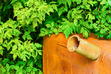 rusty fuel tank against a background of green vegetation