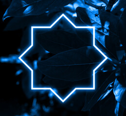 Wall Mural - Dark leaves tree background, blue neon light and eight-pointed star shape with horizontal banner.